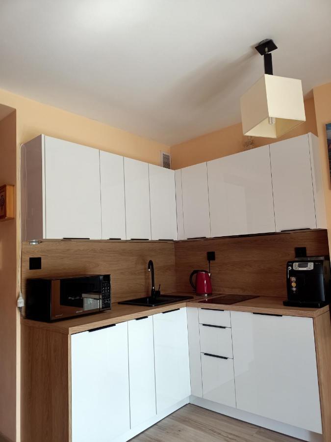Nostalgiczne Koscielisko Apartament & Spa מראה חיצוני תמונה
